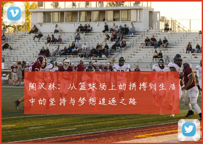 陶汉林：从篮球场上的拼搏到生活中的坚持与梦想追逐之路
