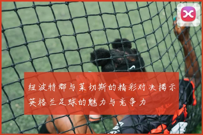 纽波特郡与莱切斯的精彩对决揭示英格兰足球的魅力与竞争力