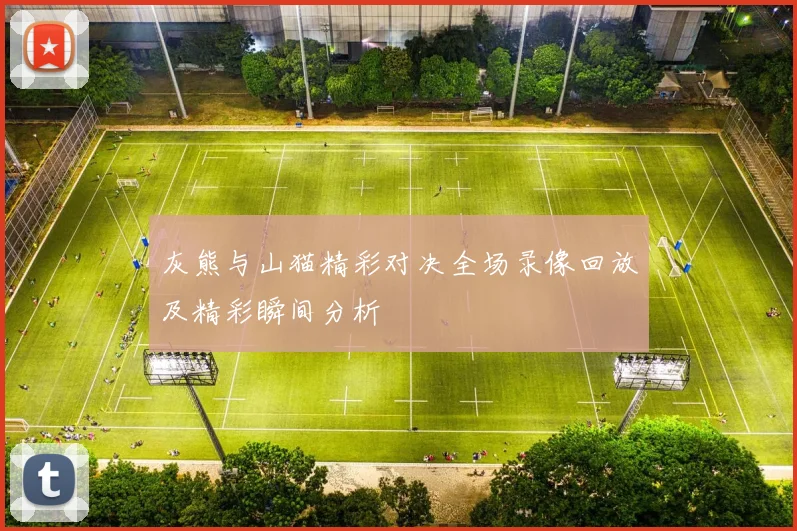 灰熊与山猫精彩对决全场录像回放及精彩瞬间分析