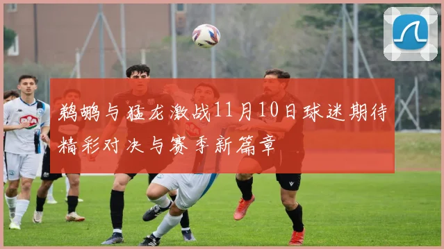 鹈鹕与猛龙激战11月10日球迷期待精彩对决与赛季新篇章